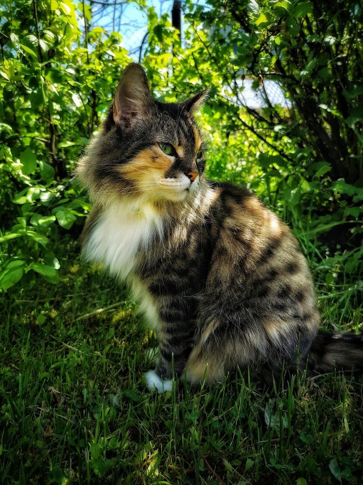 Photograph by Елена Артёменко