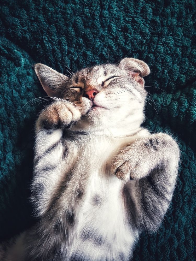 Photograph by Елена Артёменко