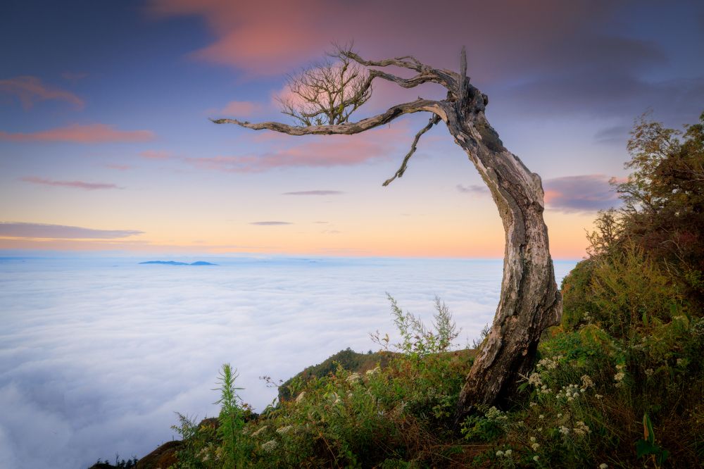 Photograph by Duy Chris