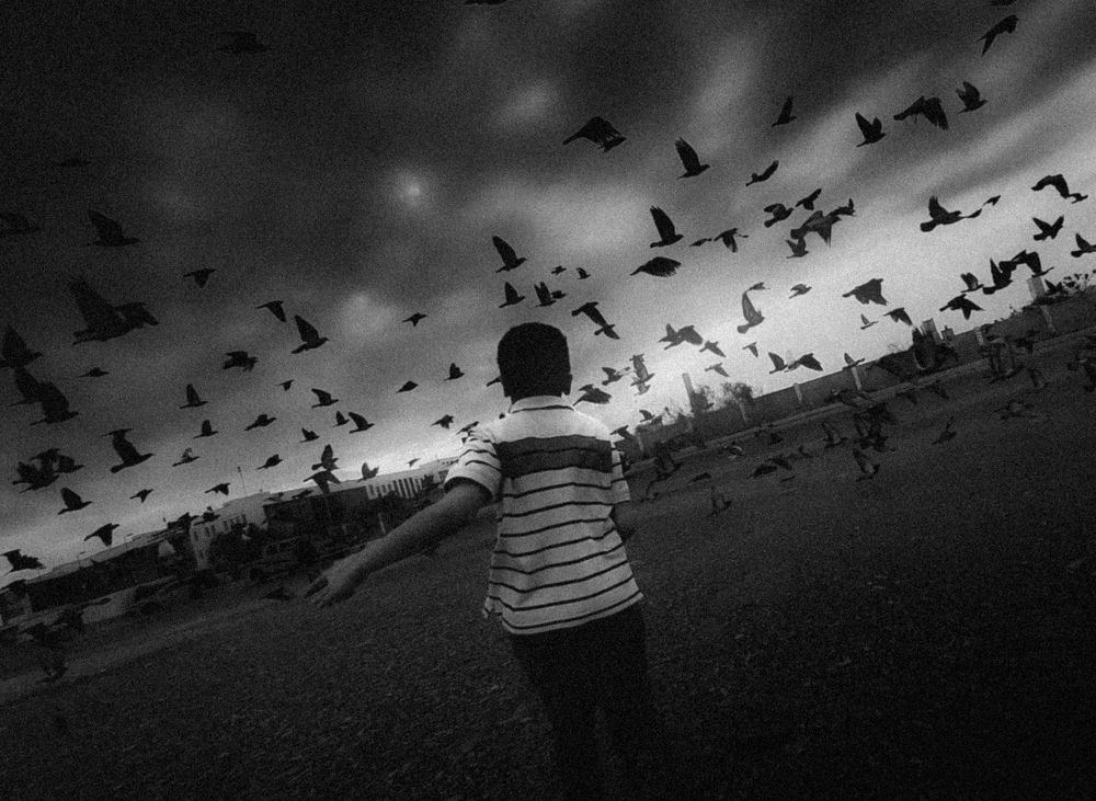 Photograph by omar alashmawy