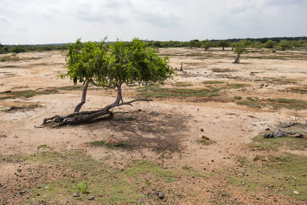 Photograph by Елена Рудкевич