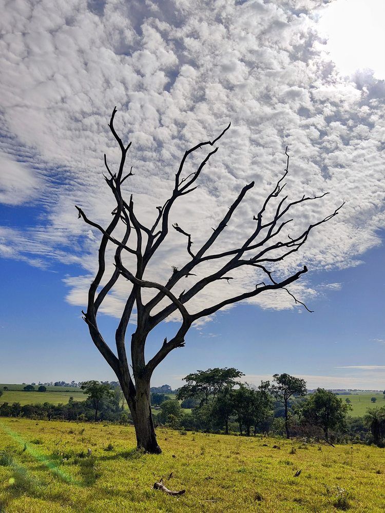 Photograph by samuel celegatti