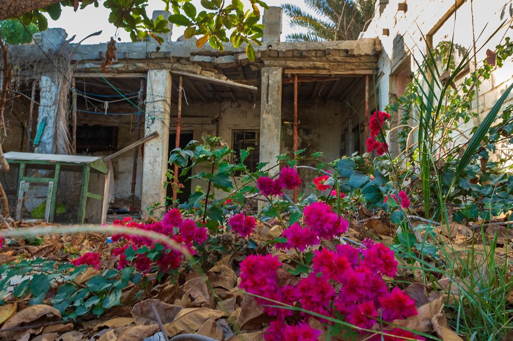 Photograph by Zubair Irshad