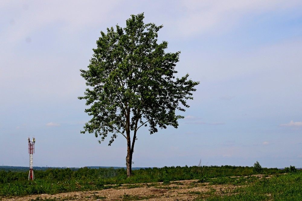 Photograph by Дмитрий Симагин