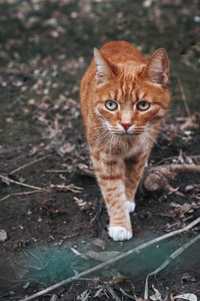 Photograph by Гульнара Айнетдинова