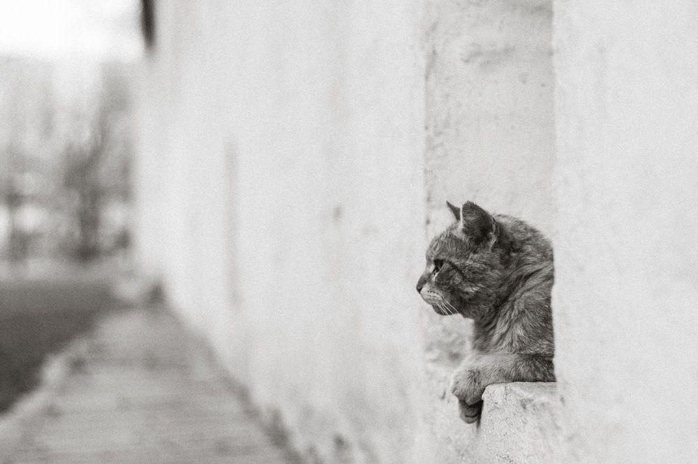 Photograph by Гульнара Айнетдинова