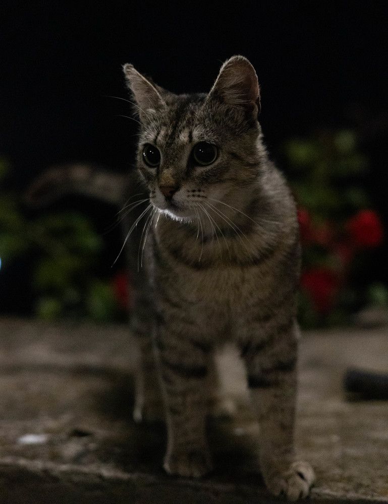 Фотография автора Yuliya Yuskova