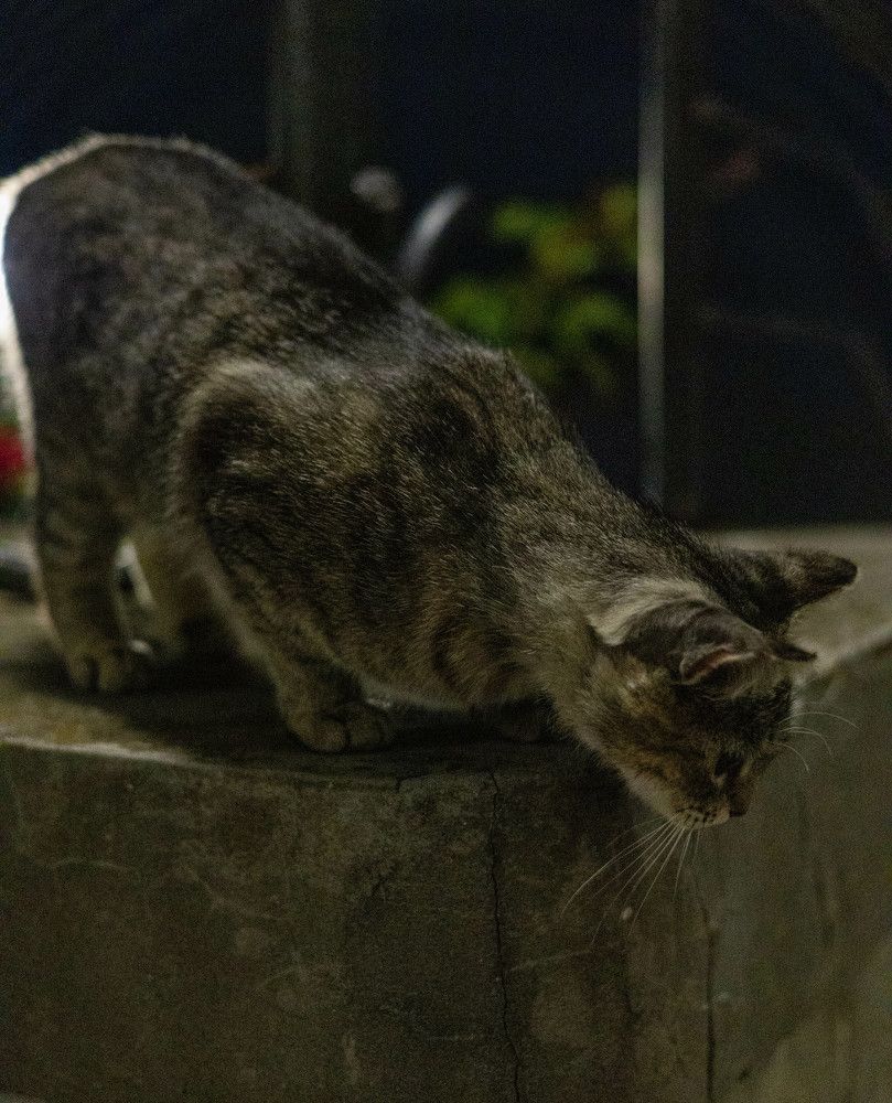 Фотография автора Yuliya Yuskova