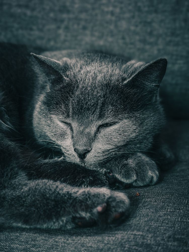 Photograph by Irina Kolotova