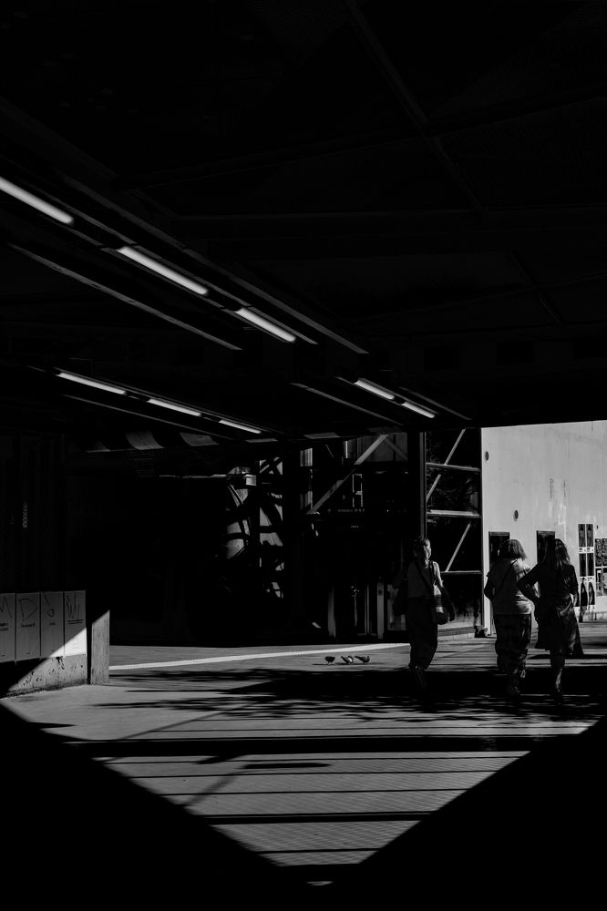 Photograph by Nikolay Surovtsev