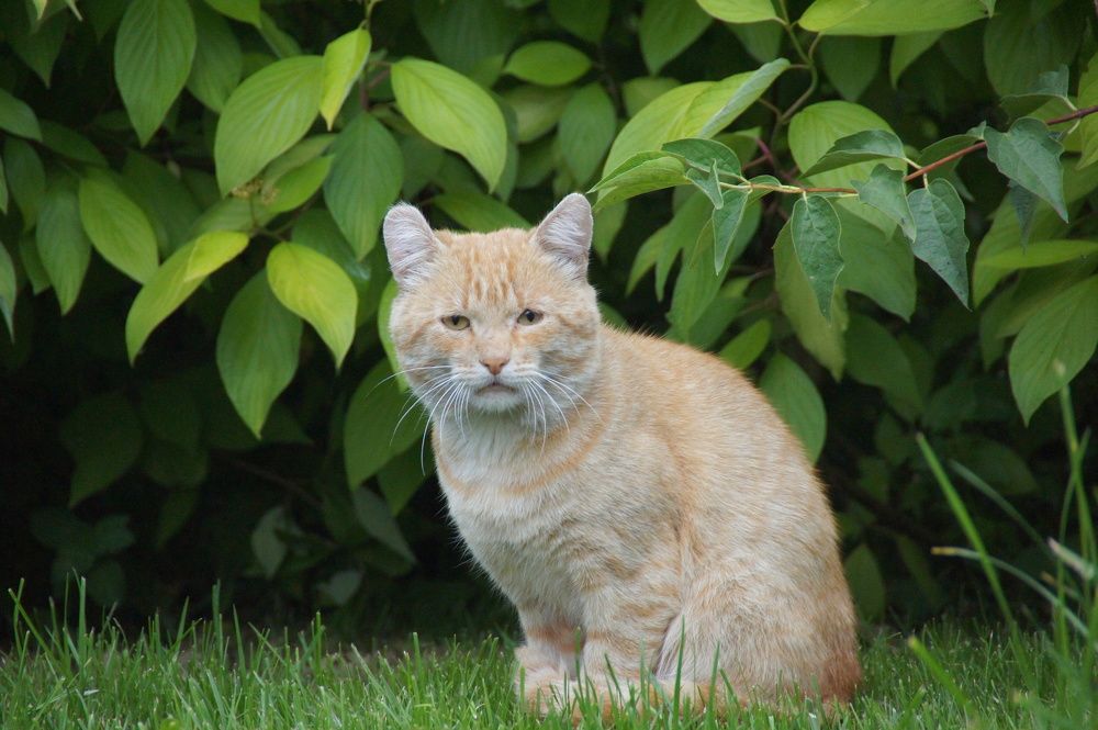 Photograph by Светлана Стрельцова