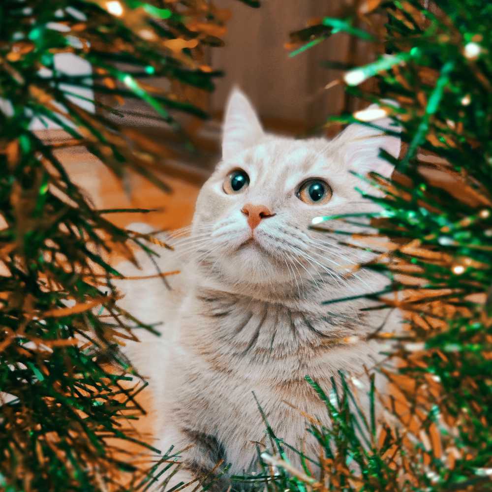 Photograph by Александра