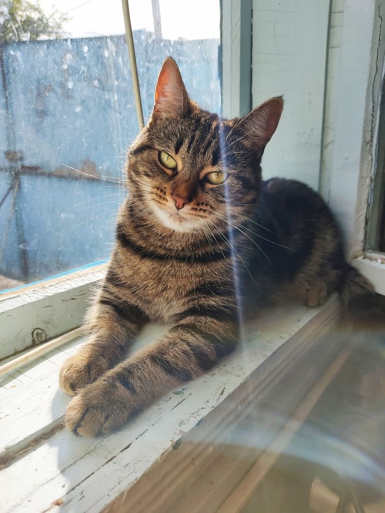 Photograph by Александра