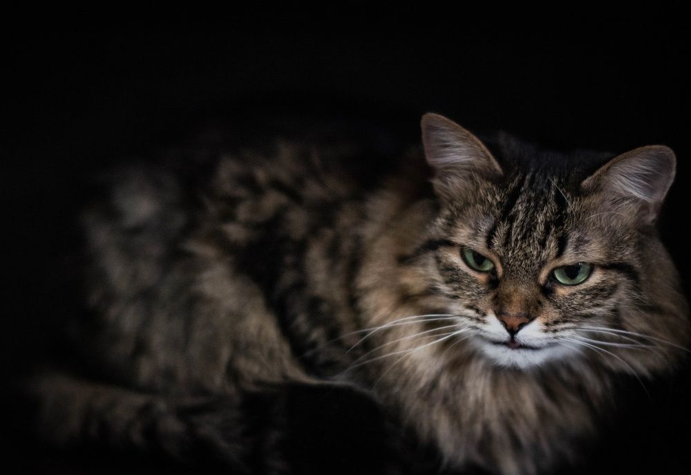 Photograph by Александра Соколова