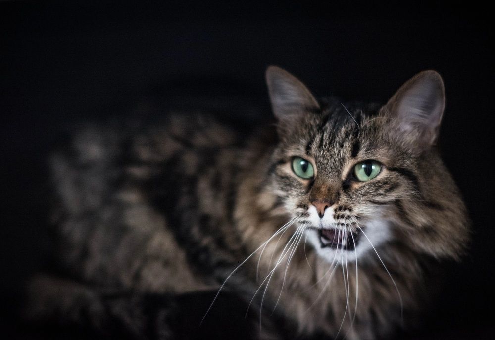 Photograph by Александра Соколова