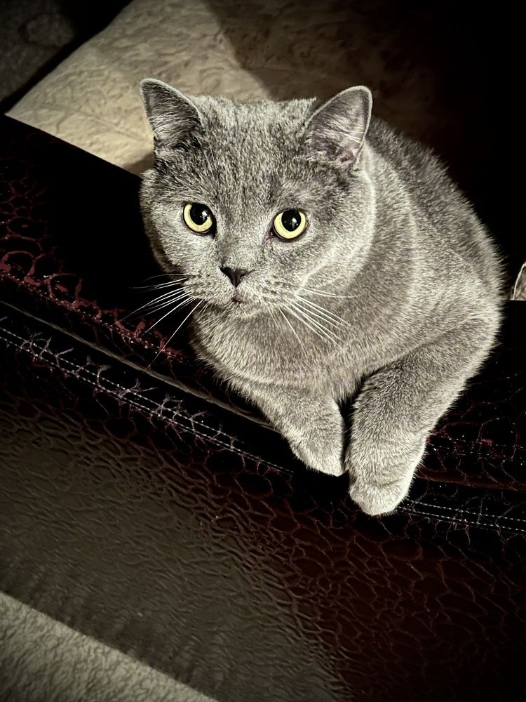 Photograph by Наумова Татьяна