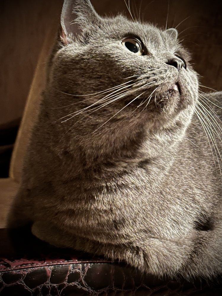 Photograph by Наумова Татьяна