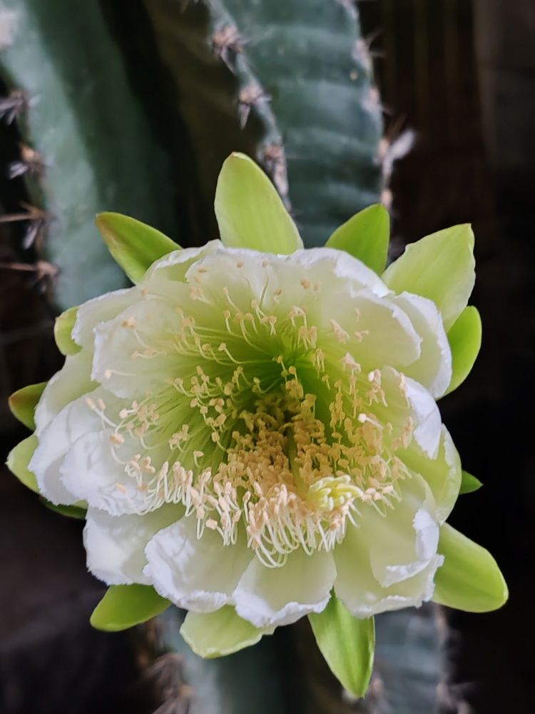 Photograph by EVELYN SIEW YEN CHAN