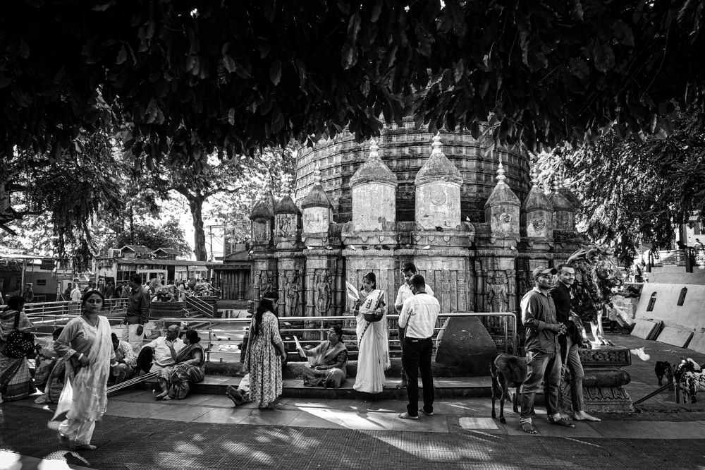 A busy life of Maa Kamakhya Temple