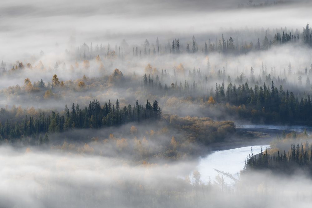 Photograph by Tatiana Meshcheryakova