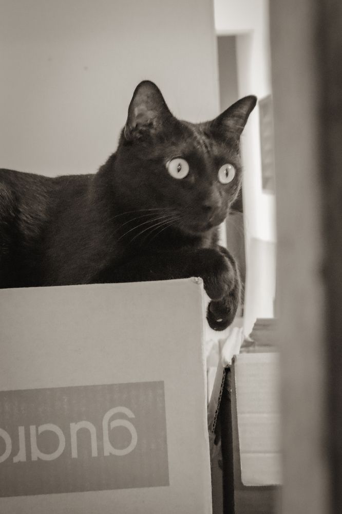 Photograph by Wen Ling Loh