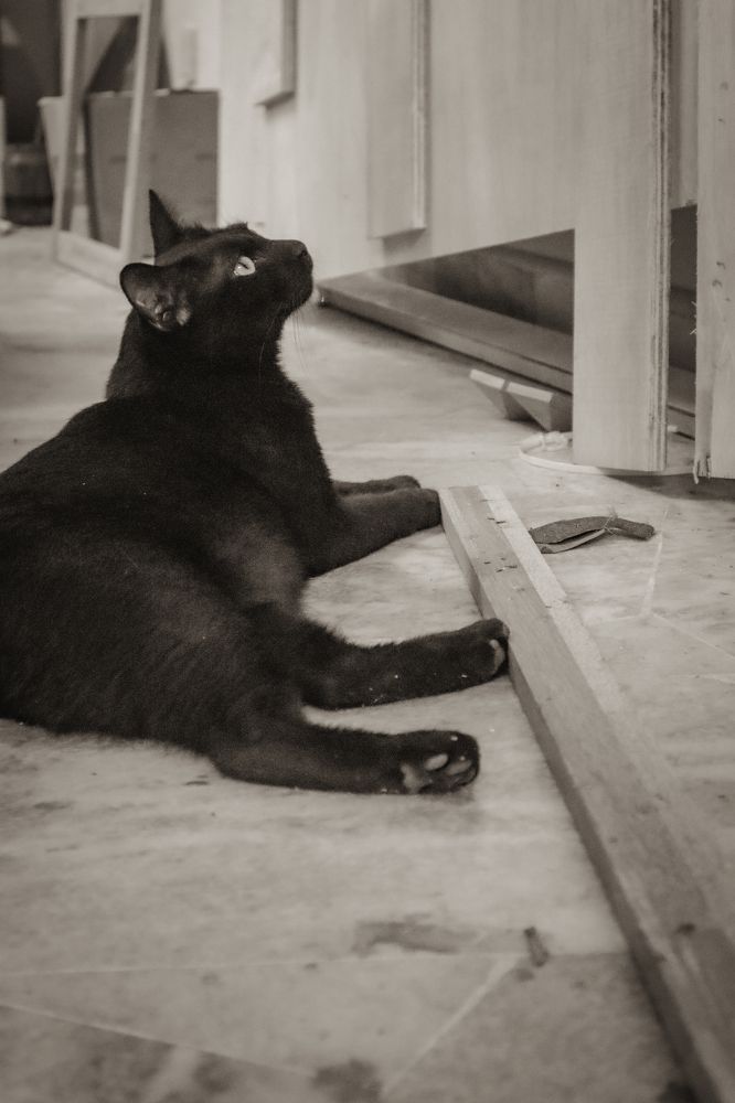 Photograph by Wen Ling Loh