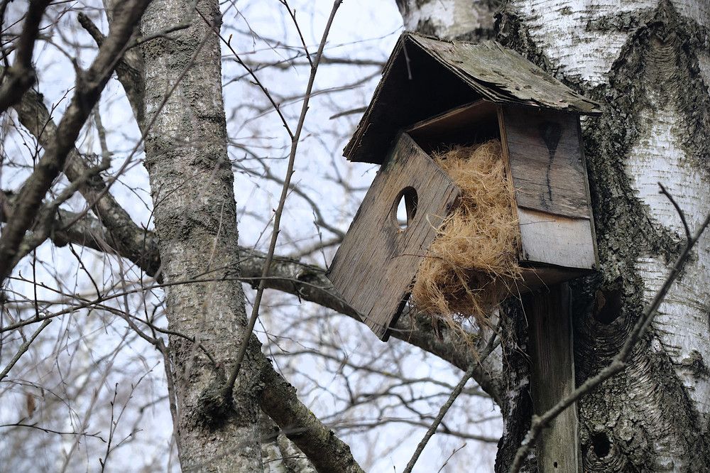 Photograph by Гагик Саркисян