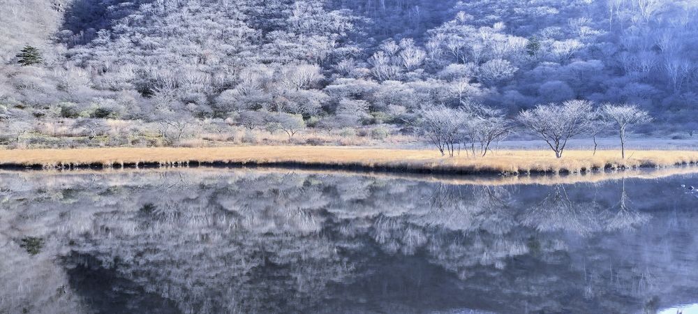 Photograph by 大悠