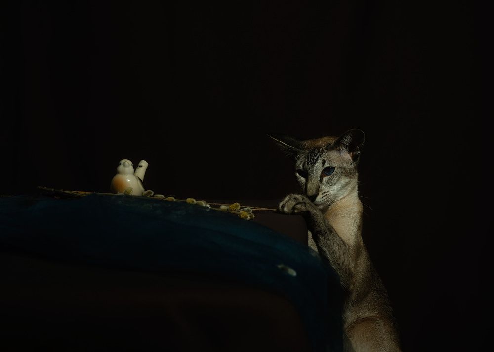 Photograph by Наталья Цуканова