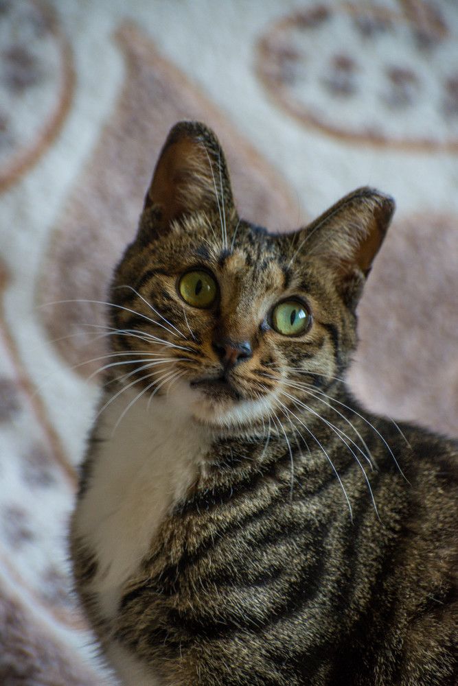 Photograph by Ирина