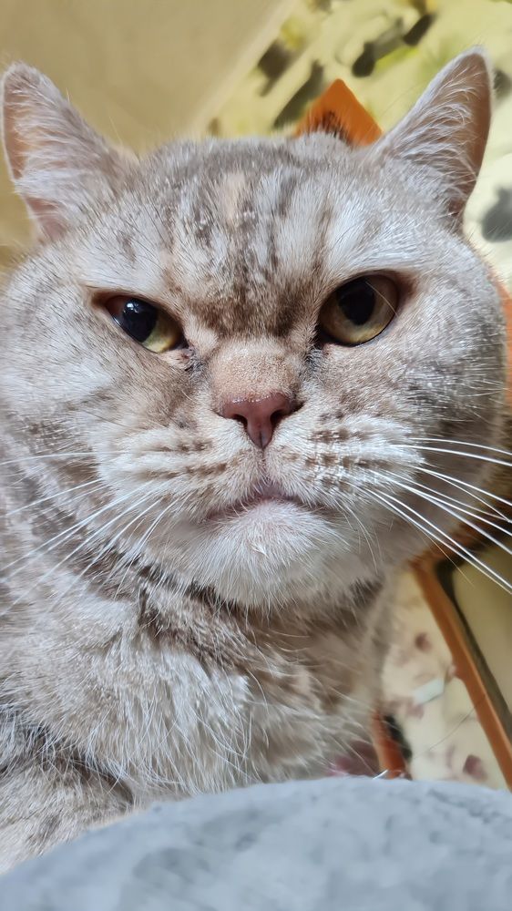 Photograph by Евгения Гриднева