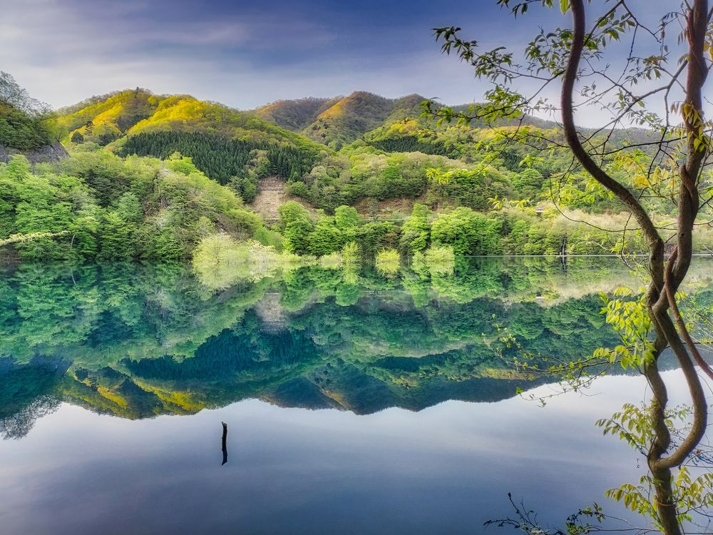 Photograph by 大悠