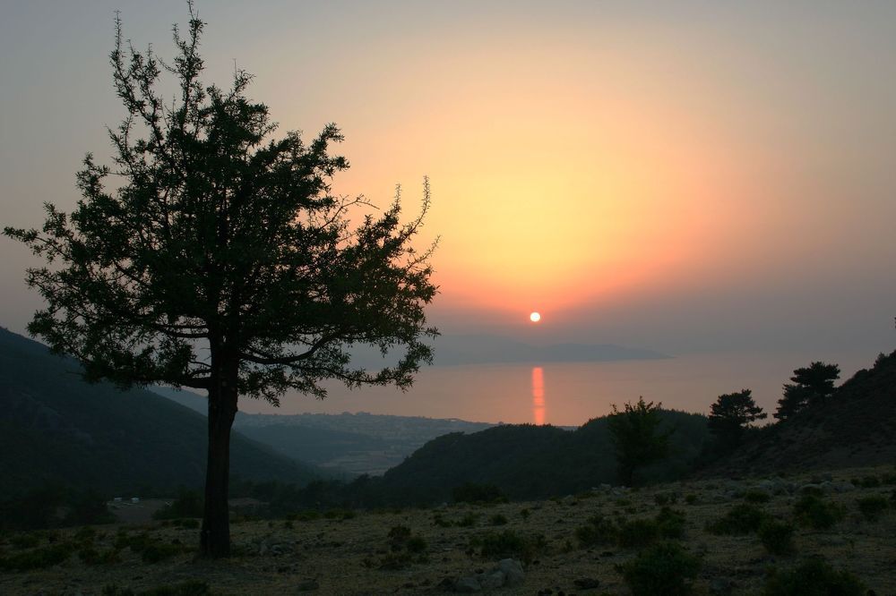 Photograph by Алексей Амилющенко