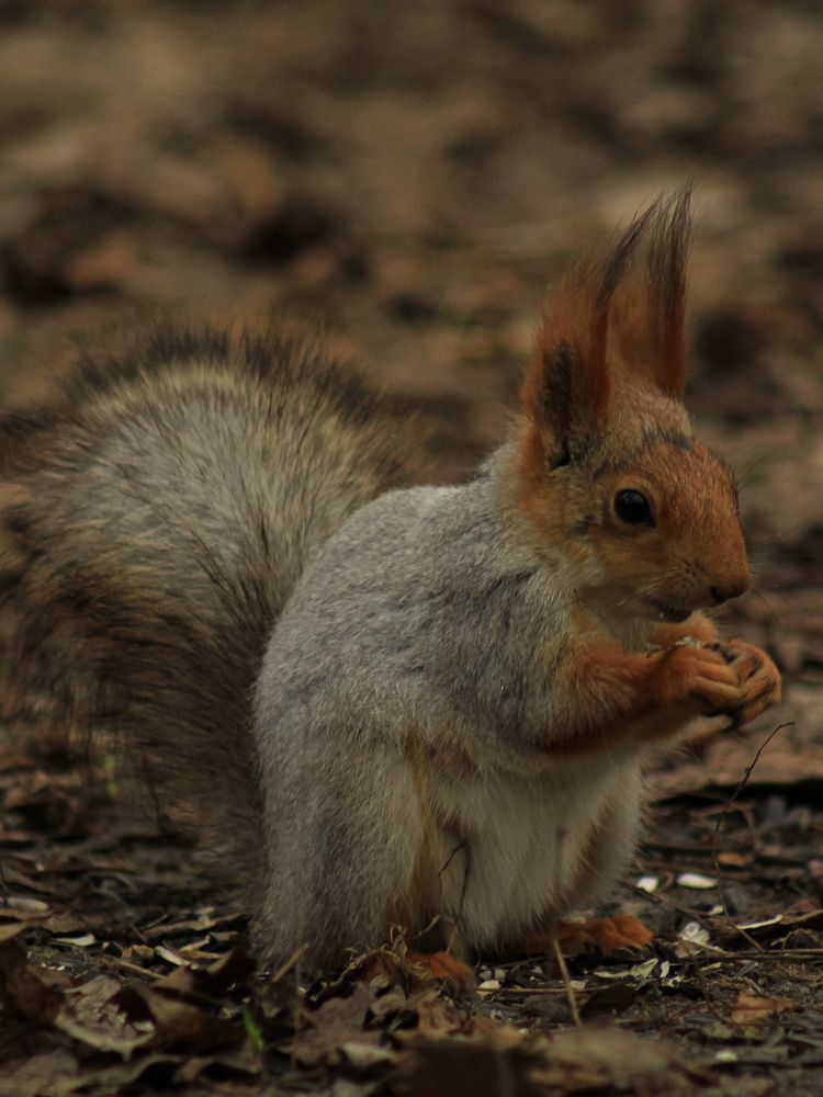 Photograph by Юркин Егор