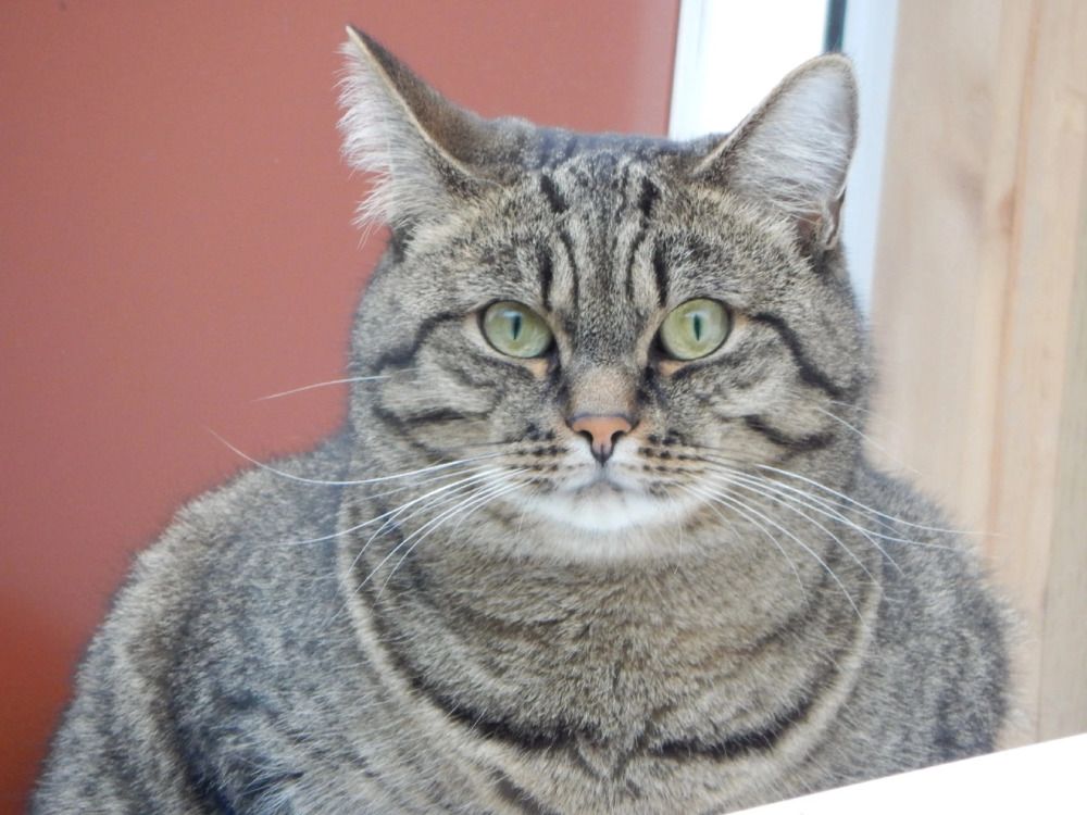 Фотография автора Юлия Кучеренко