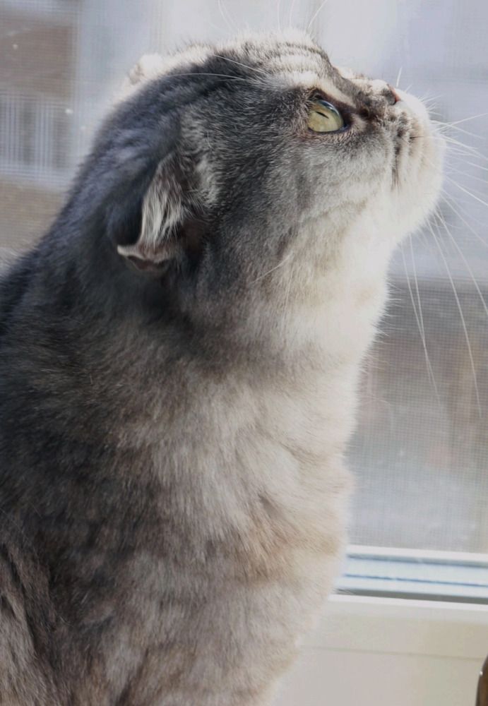 Фотография автора Юлия Кучеренко