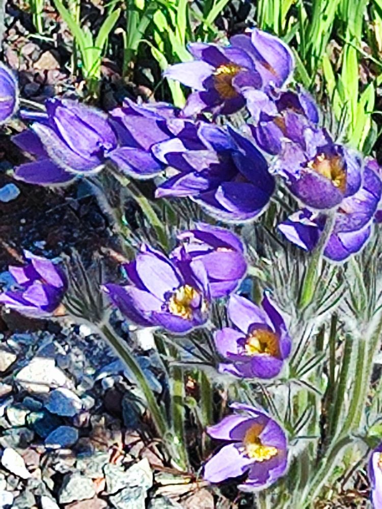 Photograph by Елена Белькова