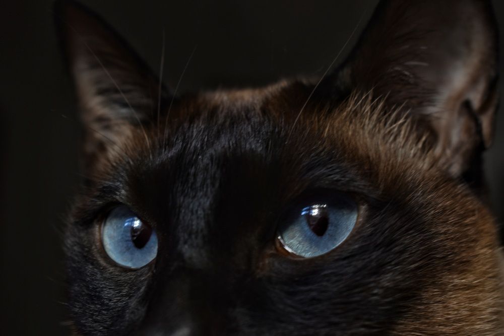 Photograph by Daniela