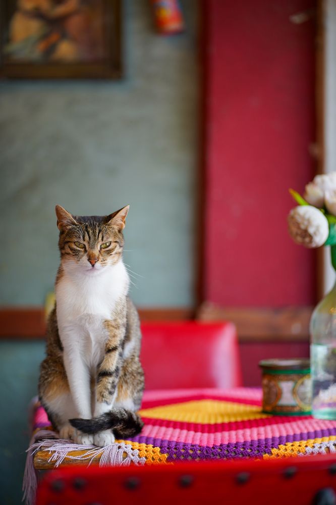 Photograph by Павел Глазков