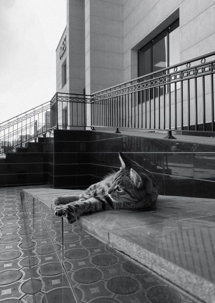 Photograph by Dina Din