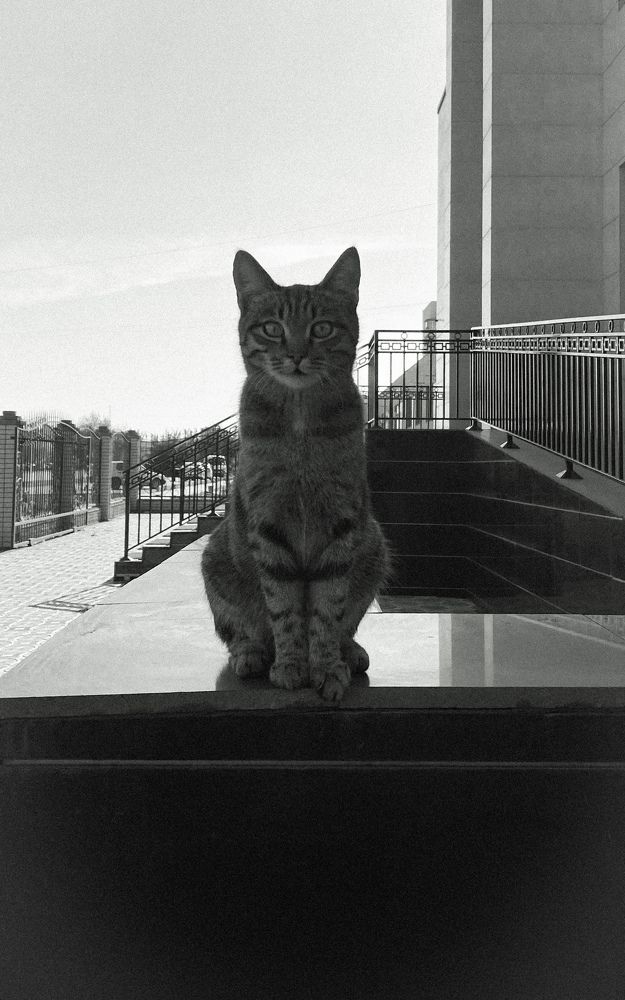 Photograph by Dina Din