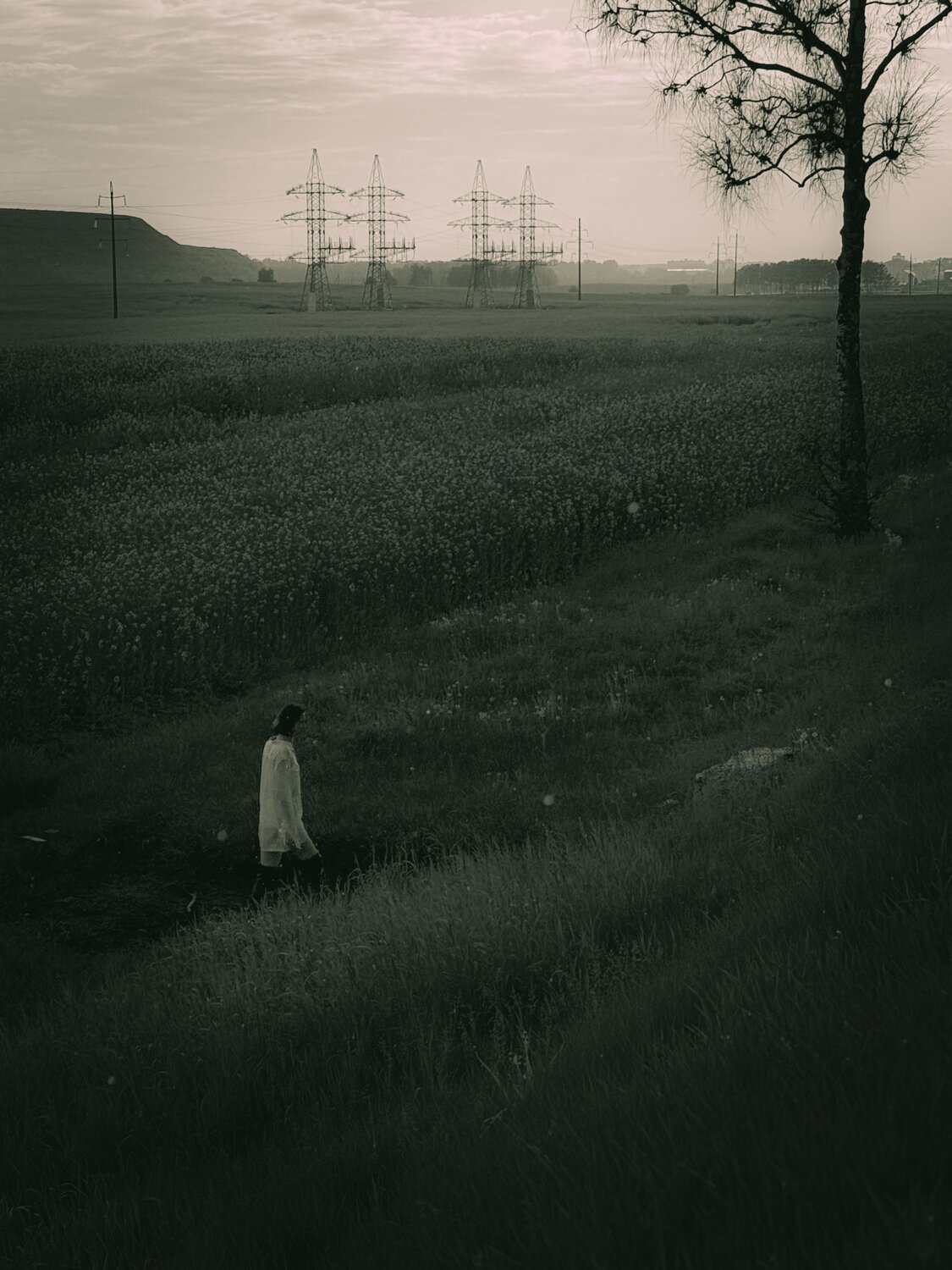 Photo #10678732
