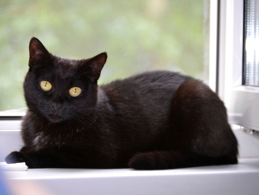 Photograph by Екатерина Шустова