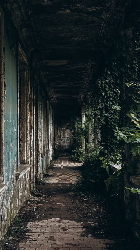 Photograph by Екатерина Нальгиева