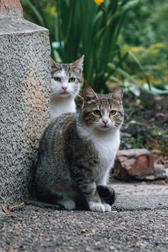 Photograph by Мария Громова