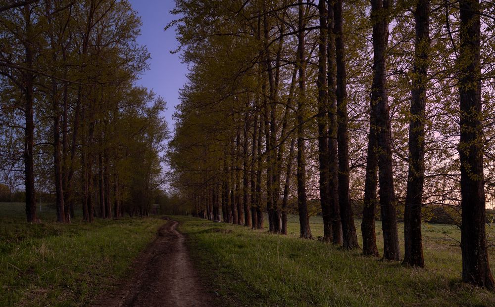 Photograph by Алексей Широбоков