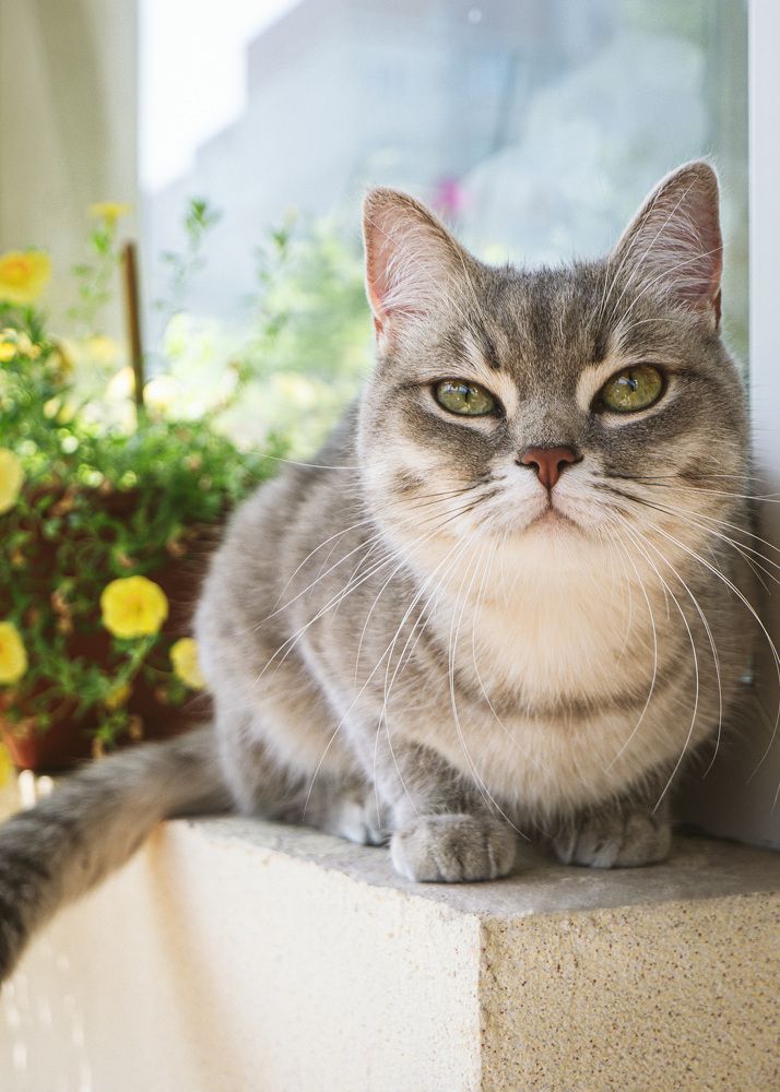 Photograph by Вера Печеник