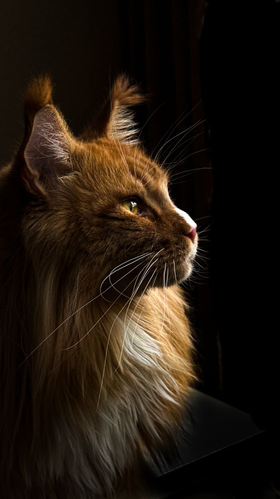 Photograph by Екатерина Нальгиева