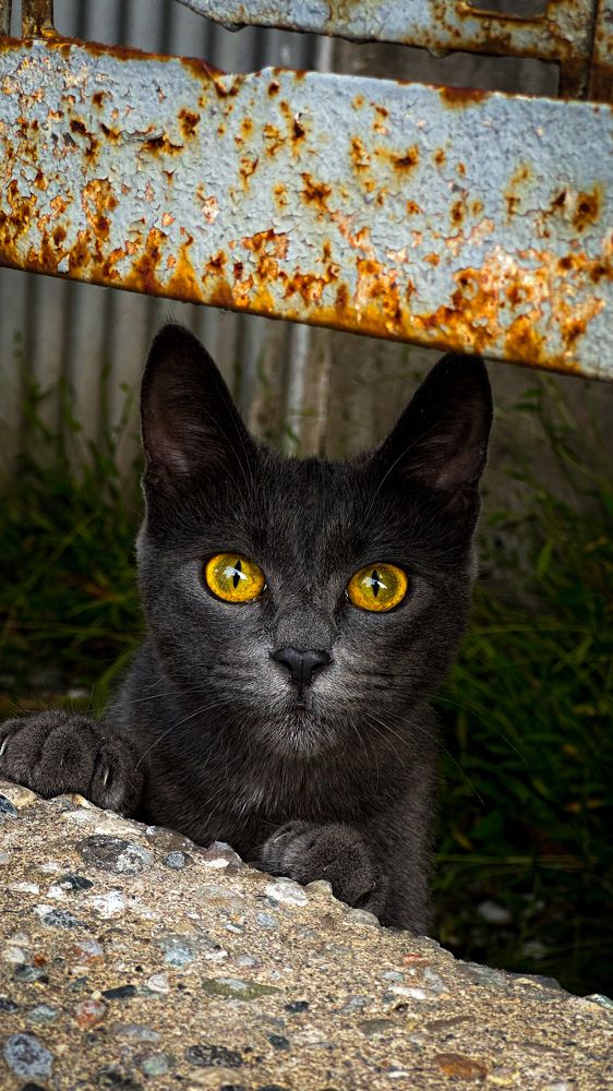 Photograph by Екатерина Нальгиева