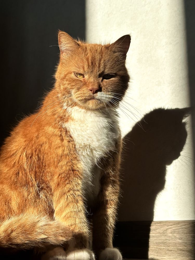 Photograph by Екатерина Нальгиева